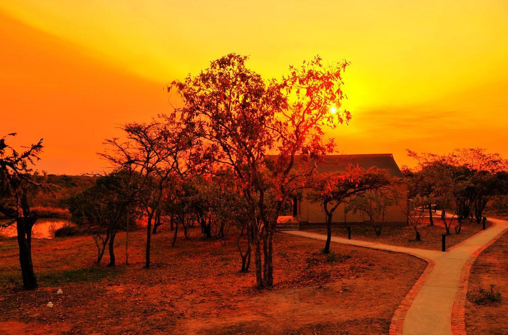 Cheetah Paw Eco Lodge Guernsey Nature Reserve Exterior foto